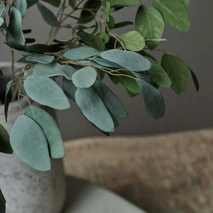 Eucalyptus Populus Stem - Artificial Flower